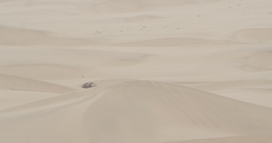 Quad Biking by the Dunes