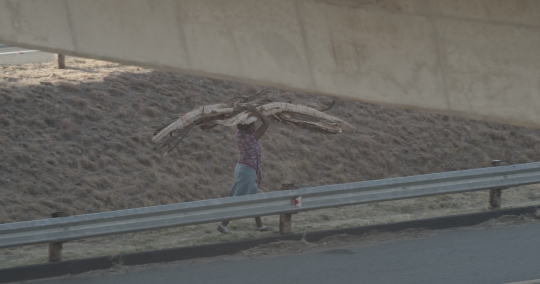 Women carrying fire wood